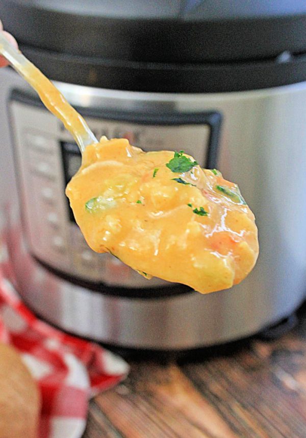 Coconut curry soup recipe close up
