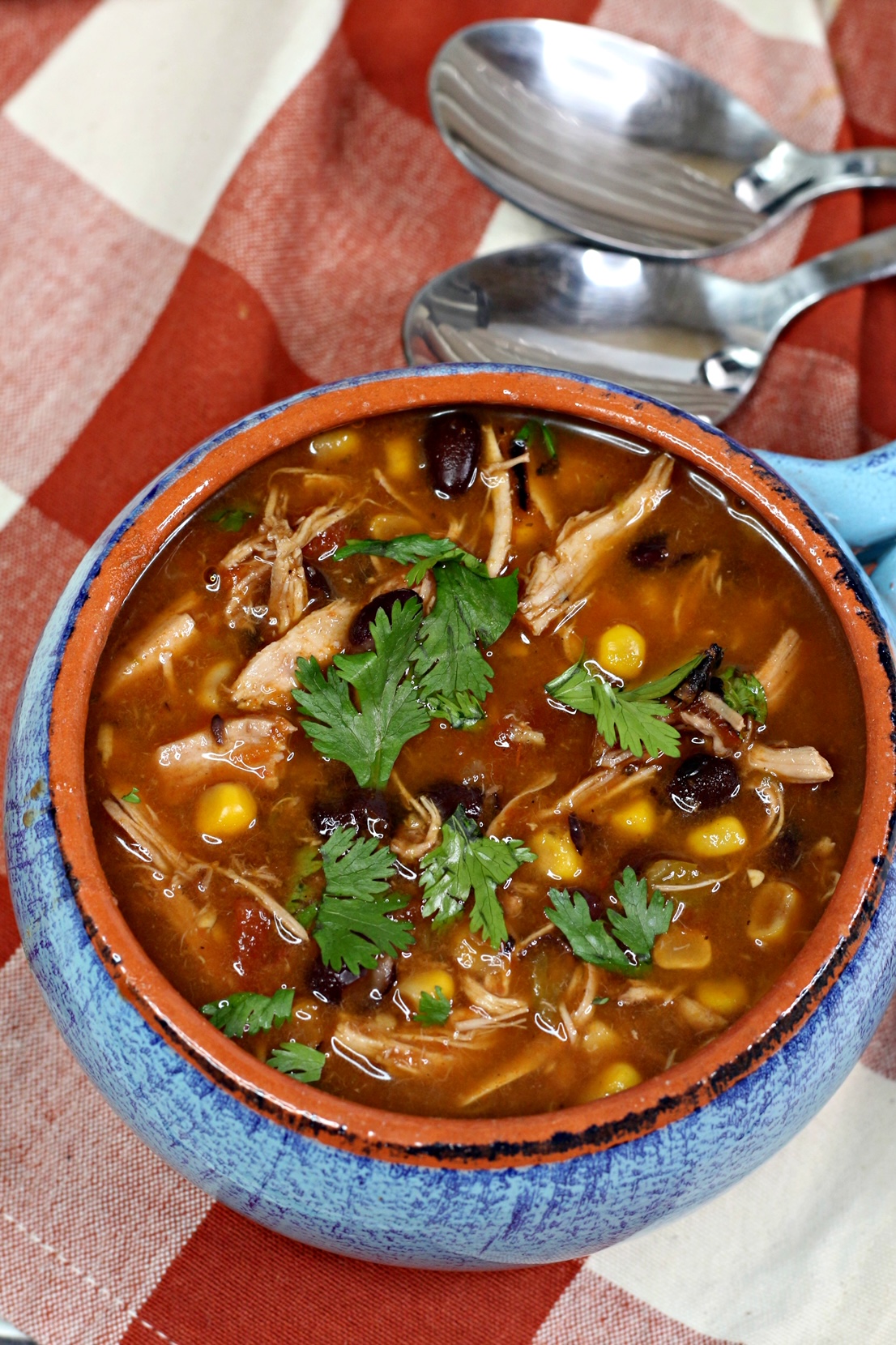 Instant Pot Mexican Chicken Soup