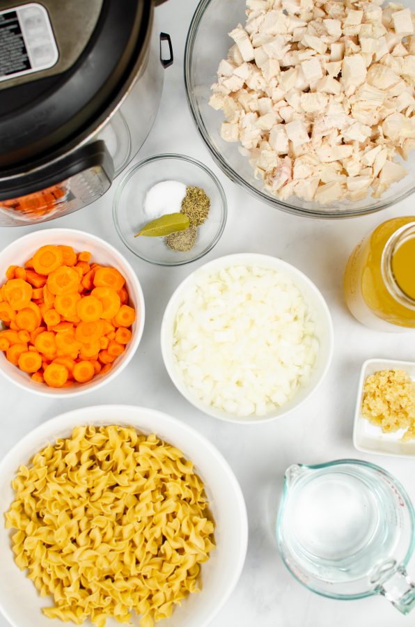Instant pot chicken noodle soup ingredients