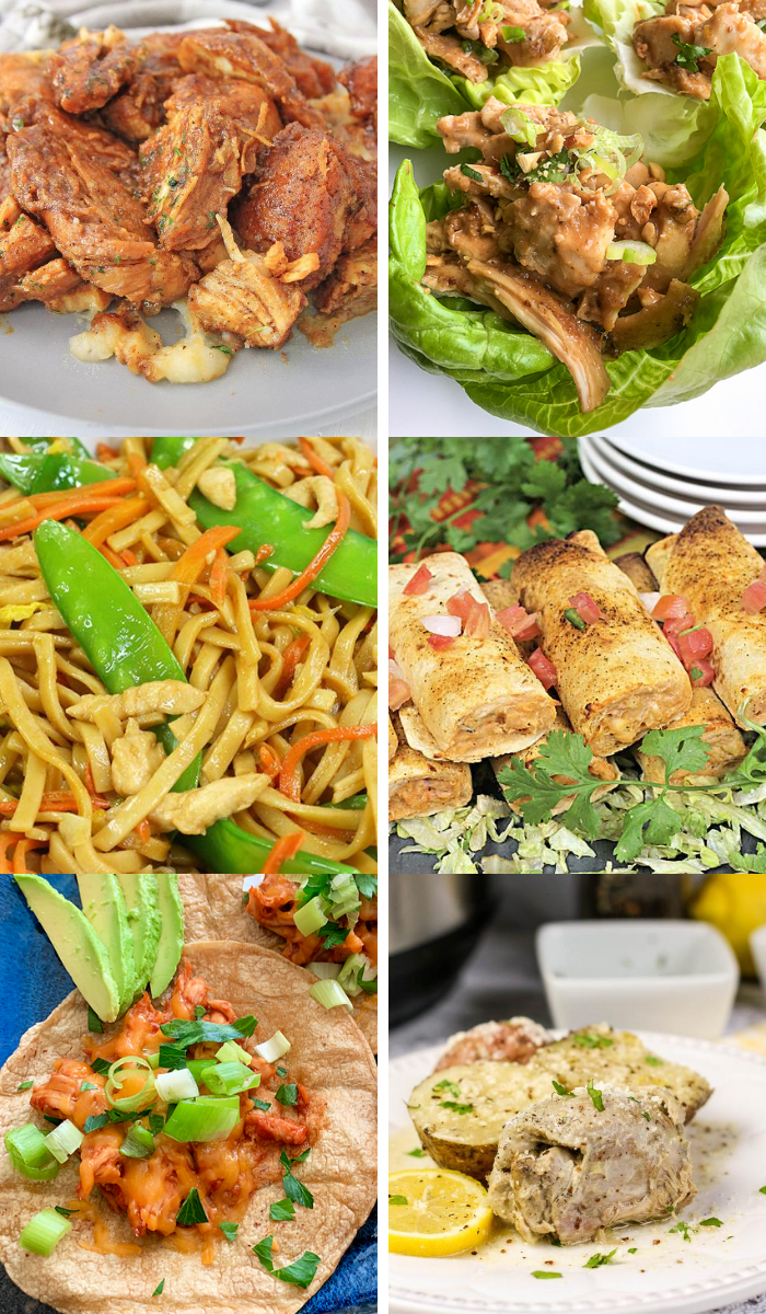 Featured image for “Instant Pot Chicken Recipes”
