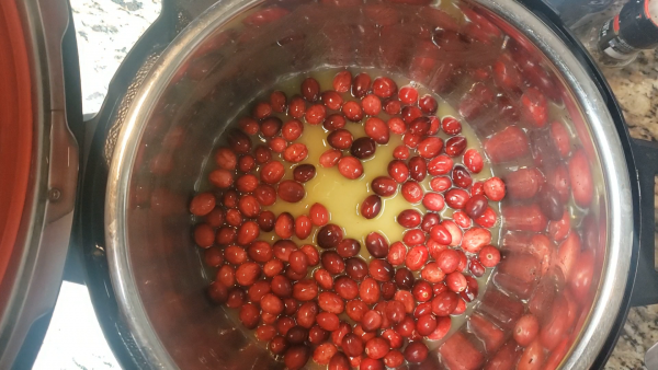 Oranges and cranberries
