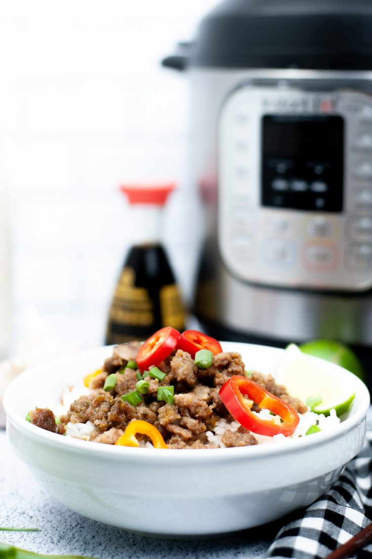 Instant pot recipes ground pork new arrivals